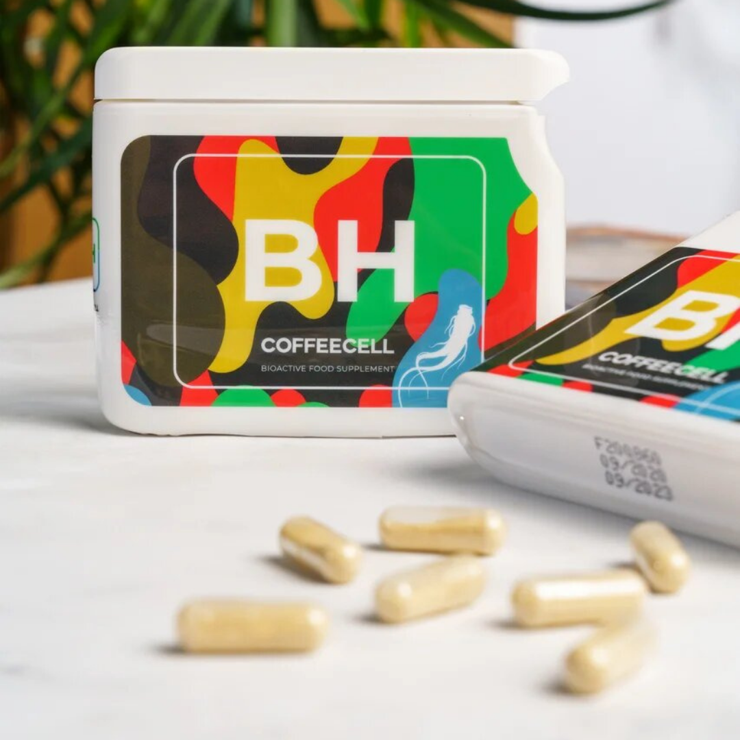 BH | 6 YEARS OLD IMPERIAL GINSENG