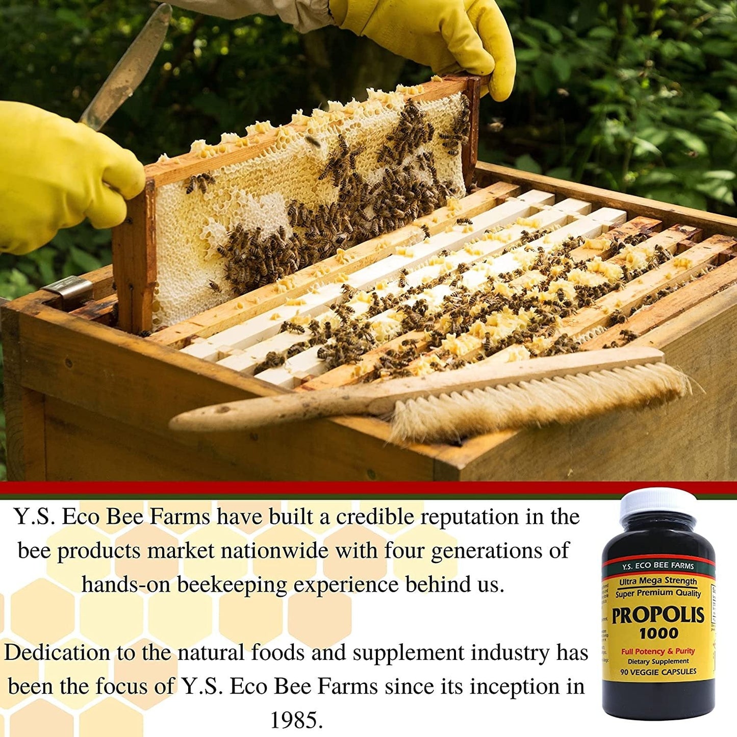 Y.S. Eco Bee Farms Mega Strength Propolis 1000
