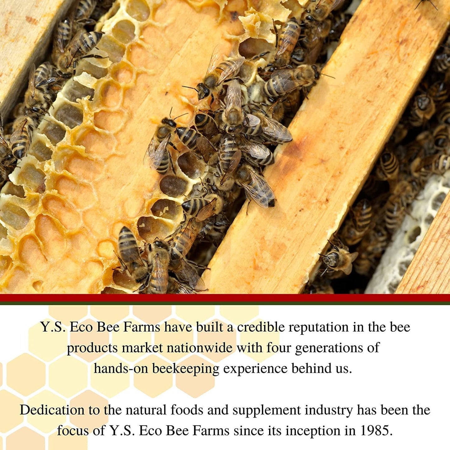 Y.S. Eco Bee Farms Triple Complex - Royal Jelly Bee Pollen Propolis Plus Korean Ginseng